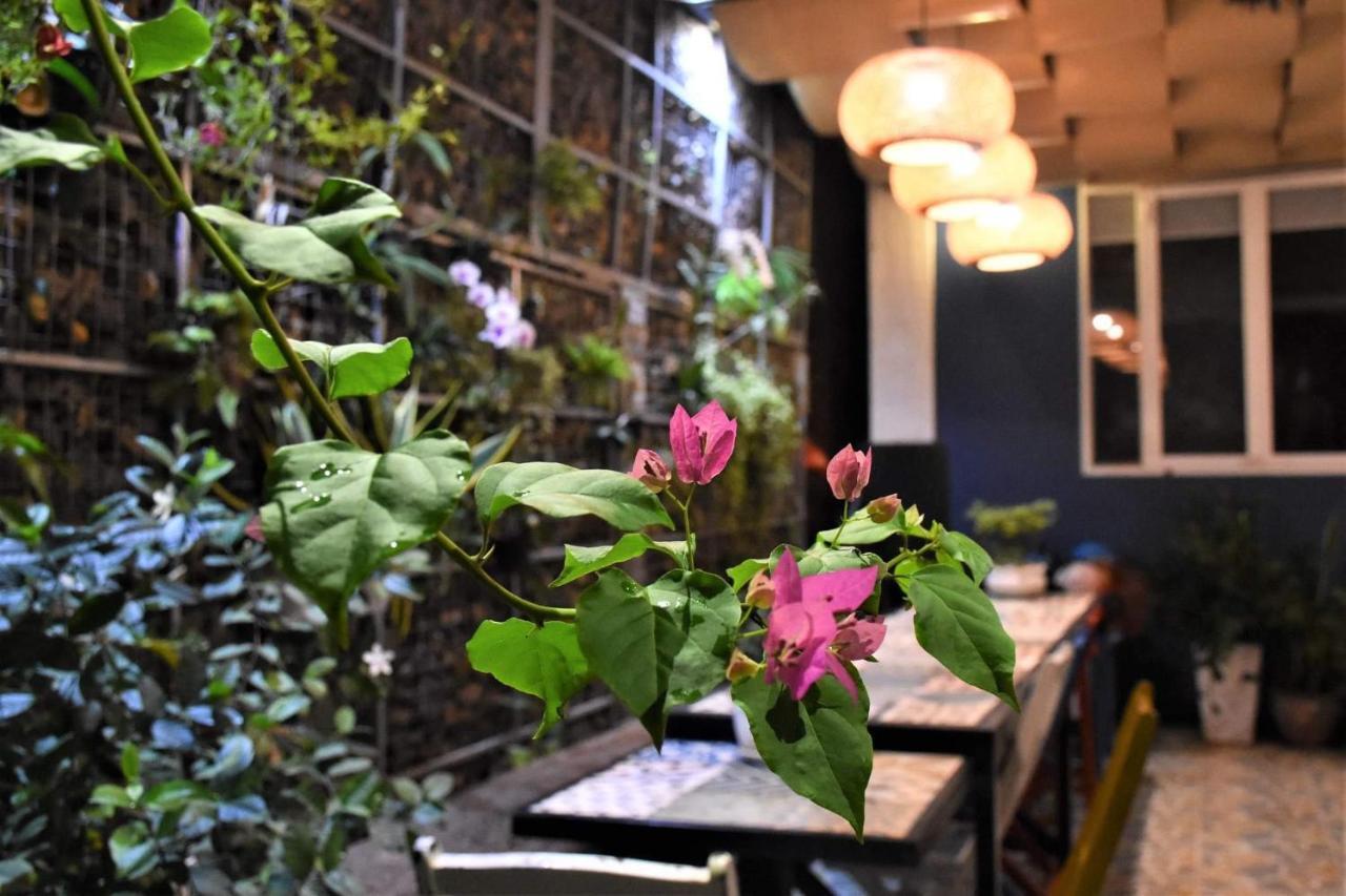 Chi Khu Co Ong Lighthouse Boutique Hotel מראה חיצוני תמונה